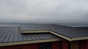 Roof Coating Services in Watkinsville, GA